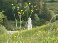 tal01.jpg (30357 Byte)